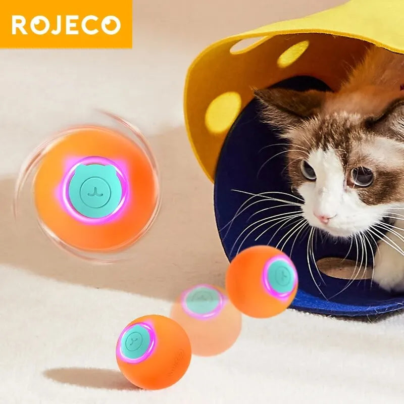 Interactive Cat Bouncing Ball