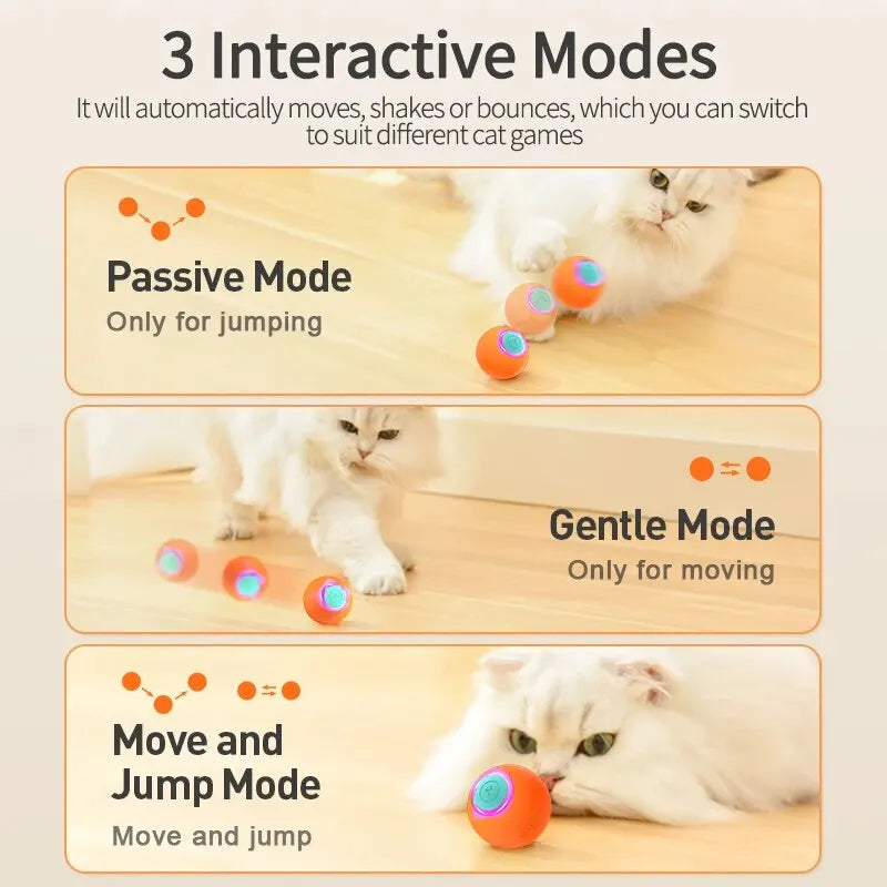 Interactive Cat Bouncing Ball