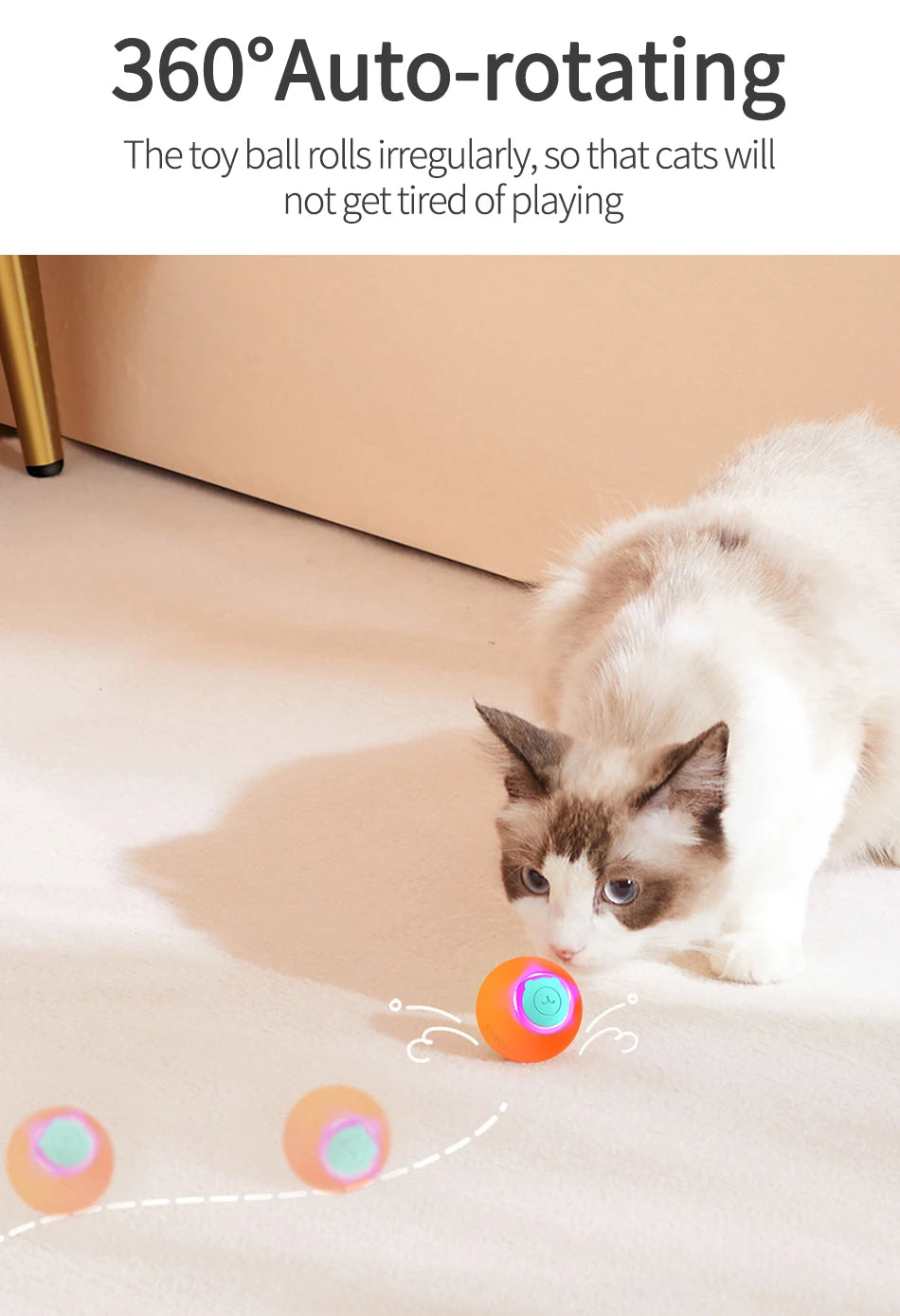 Interactive Cat Bouncing Ball