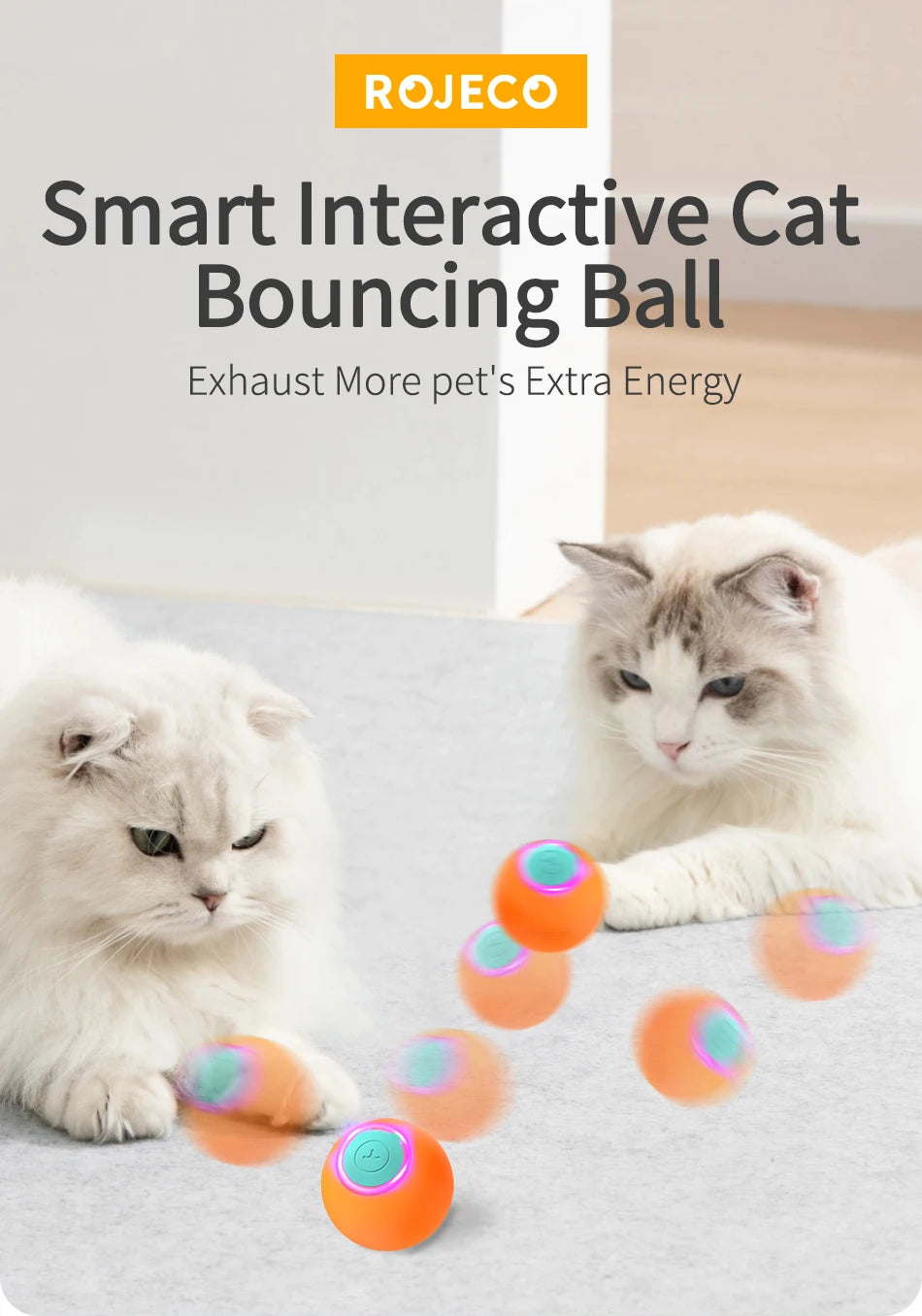 Interactive Cat Bouncing Ball