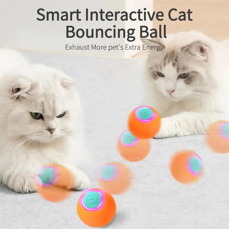 Interactive Cat Bouncing Ball